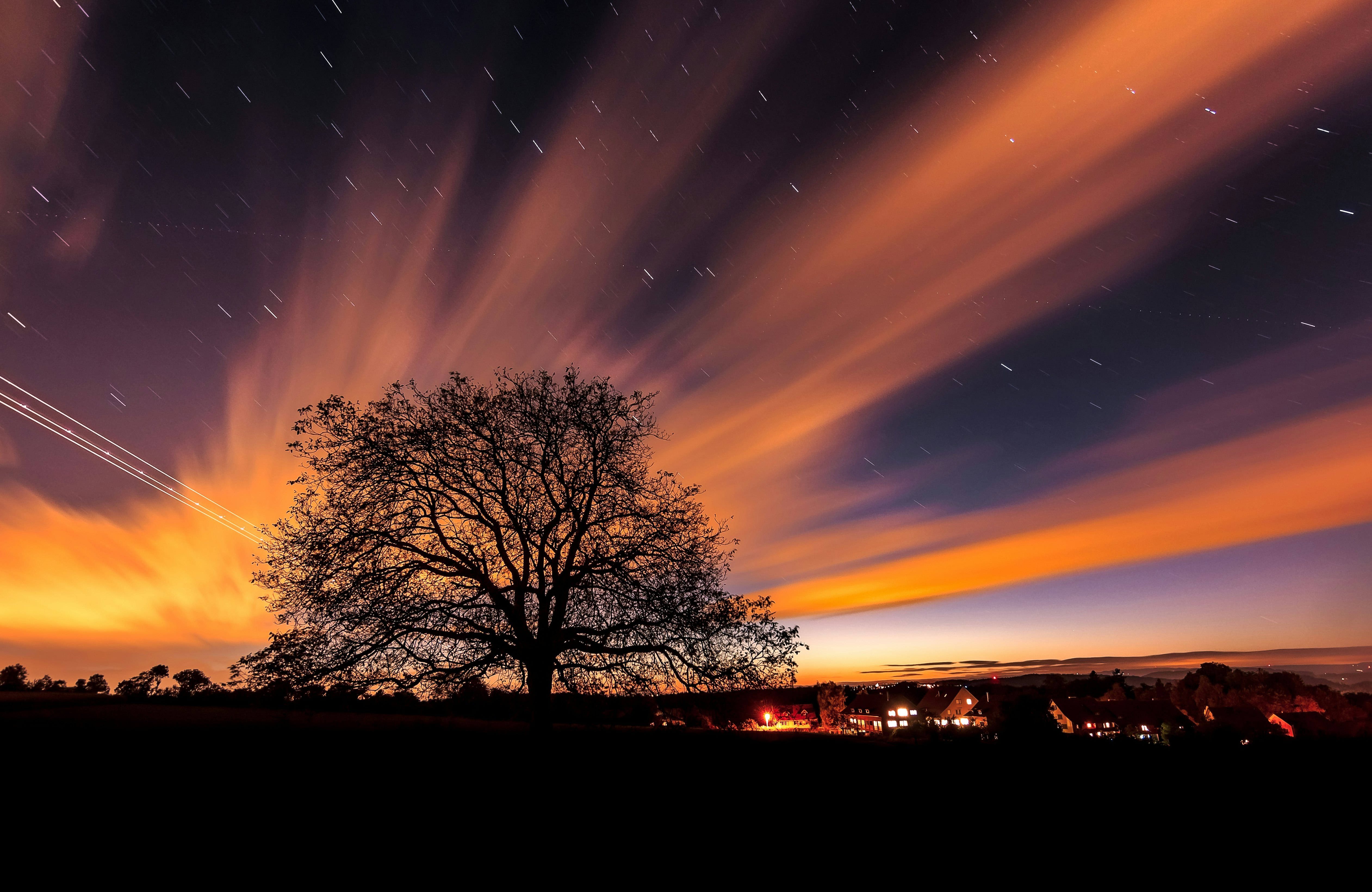 silhouette of trees during sunset